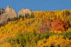 USA, Colorado, Gunnison National Forest. Mountain ridge and aspen forest in autumn. Art Print